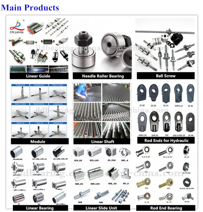 Bearing Factory Directly Supply Shaft 40mm Steel Rod for CNC Kit (WCS40 SFC40)